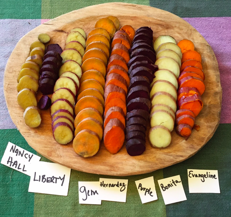 screen-shot-2017-02-01-at-1-32-49-am