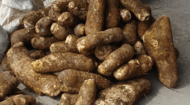 screen-shot-2017-02-02-at-5-04-40-pm