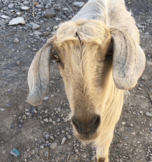 Screen Shot 2019-12-14 at 22.41.53.png