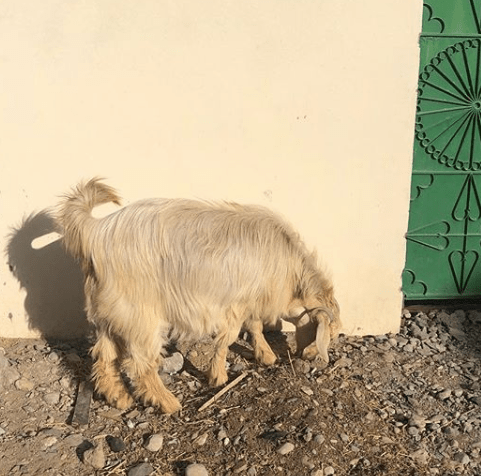 Screen Shot 2019-12-14 at 22.42.10.png